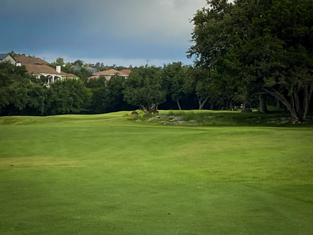 Canyon Springs Fairway